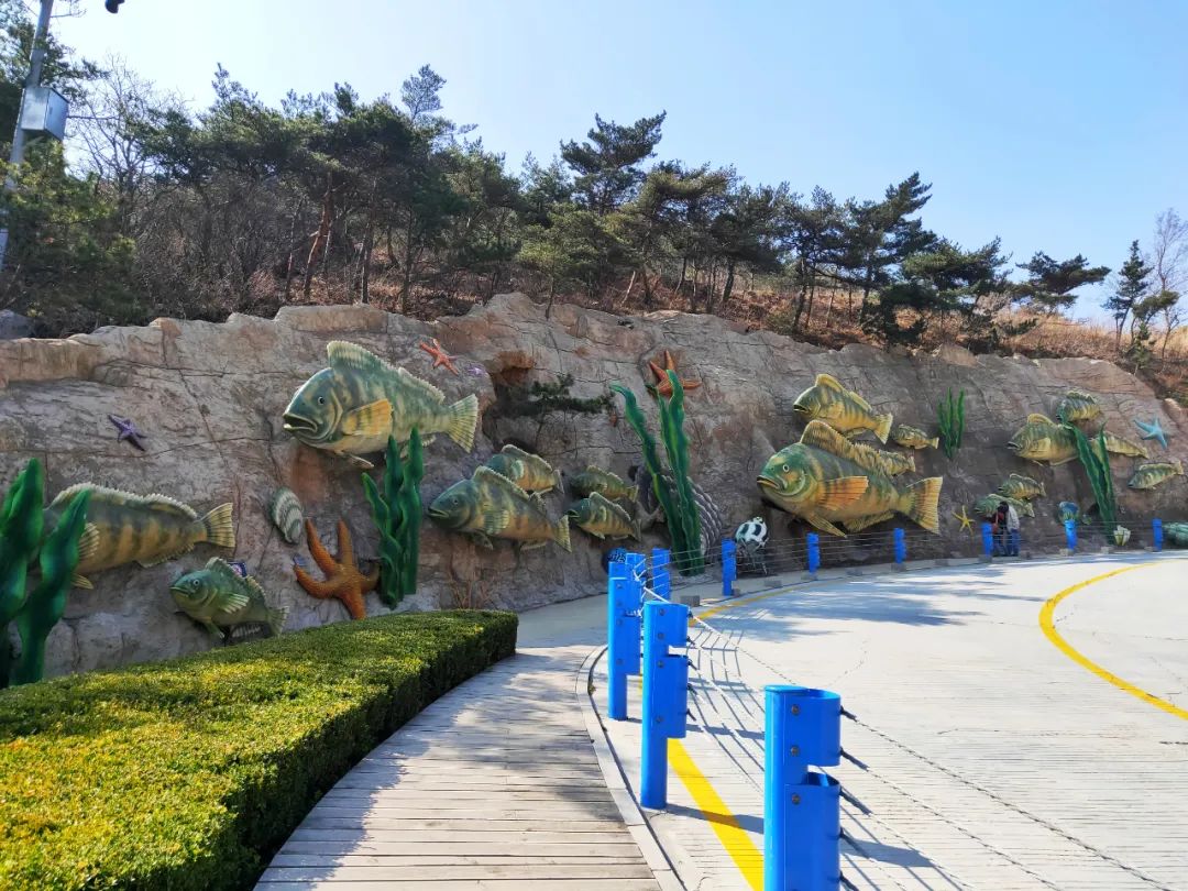 2022春节大连本命年免费景点,大连免费景点排行榜前十名