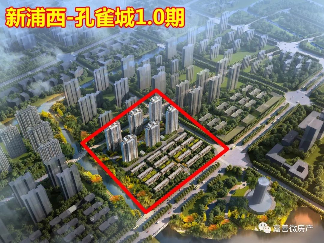 上海嘉善孔雀城在哪里,新蒲孔雀城位置