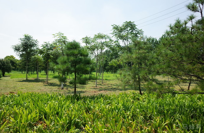 北京郊野公园免费景点,北京24小时开放免费公园