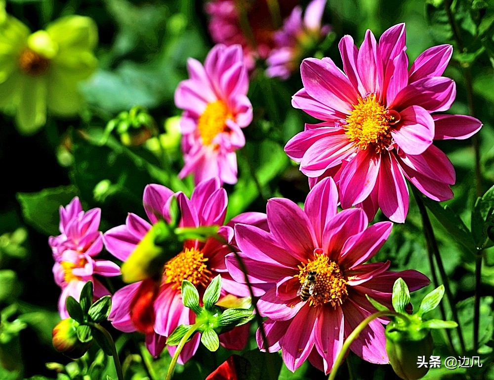 航拍一个村寨,航拍最美山谷风景