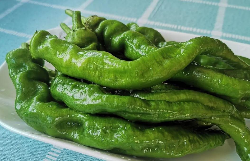酸菜鱼煮汤圆,酸菜鱼煮饺子