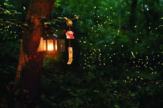 快问快答常识性问题,快问快答常识类100个问题