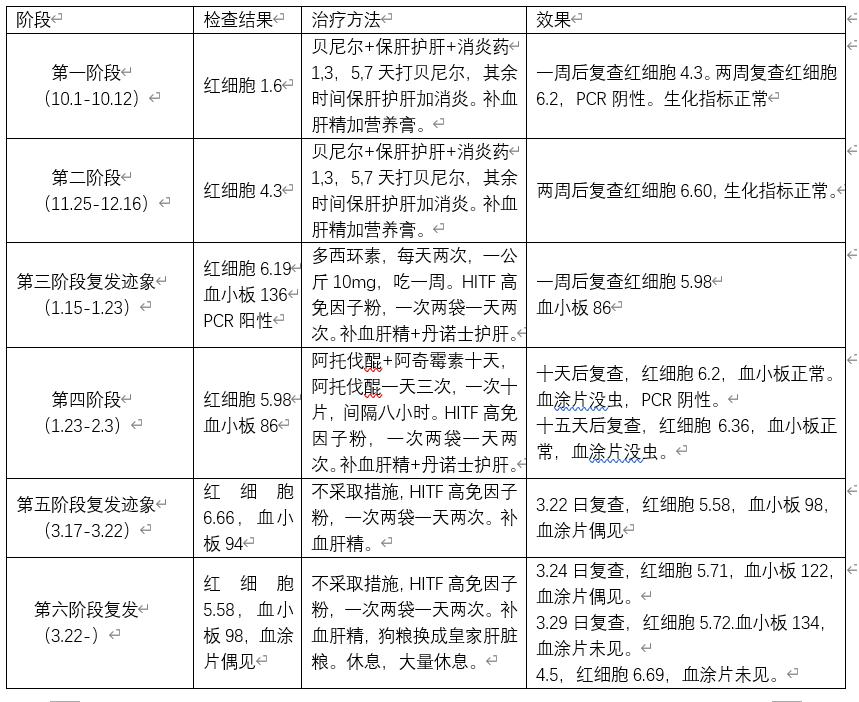 巴贝斯焦虫病是什么病怎么得的,狗狗巴贝斯虫病早期症状南方