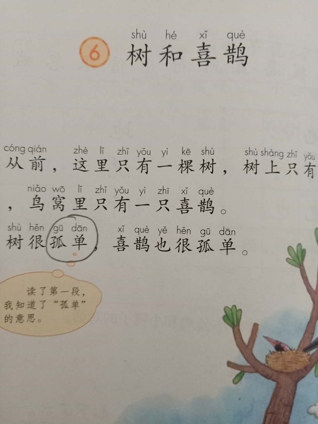 一年级语文下册1-8单元知识点归纳,部编版一年级语文第三单元知识点