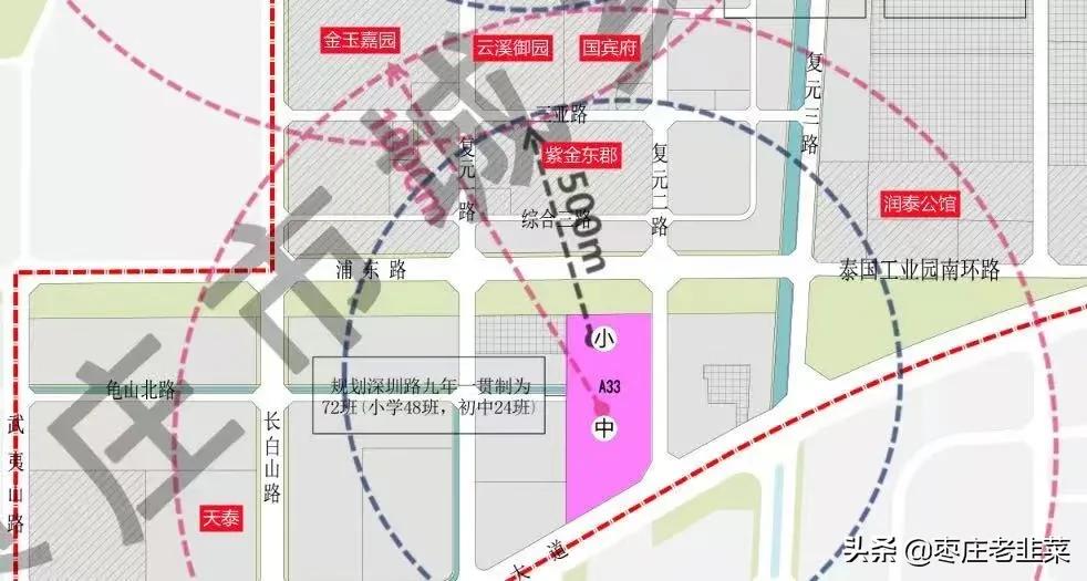 高新区实验中学怎样,高新实验学校最新消息
