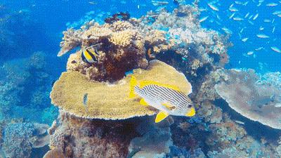 北京老牌水族馆富国海底世界，49.9元1大1小探险蓝色海洋的秘密