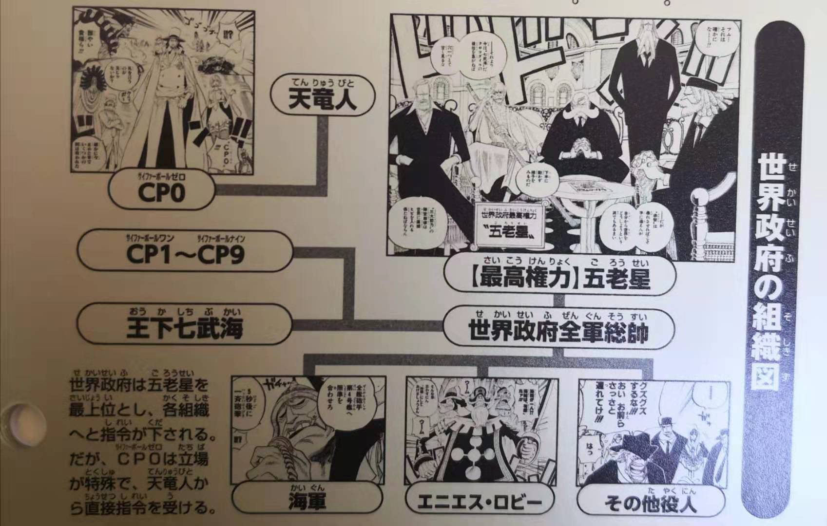 凯多与世界政府,世界政府为什么打四皇