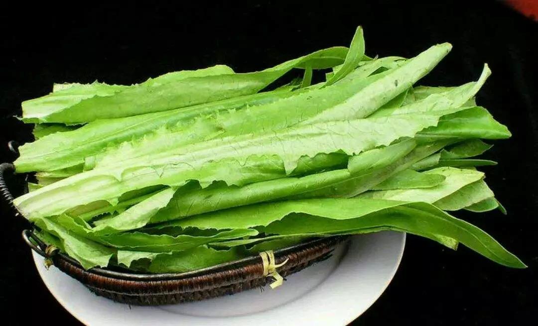 食材的故事,食材的故事500个