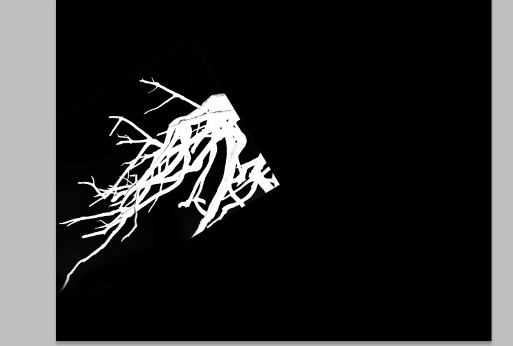 ps如何换花朵教程图解,ps怎么画枯萎的玫瑰