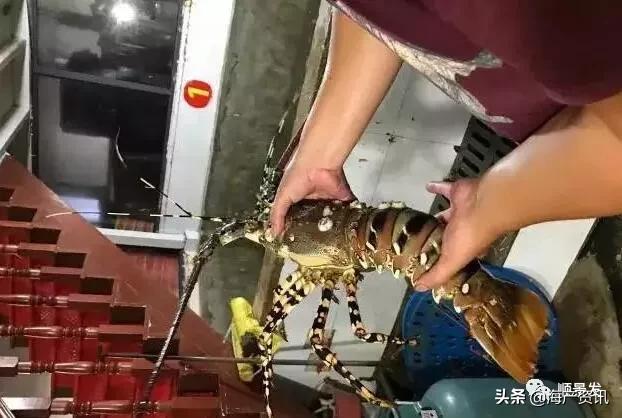 春节必买的海鲜,一年四季海鲜怎么选