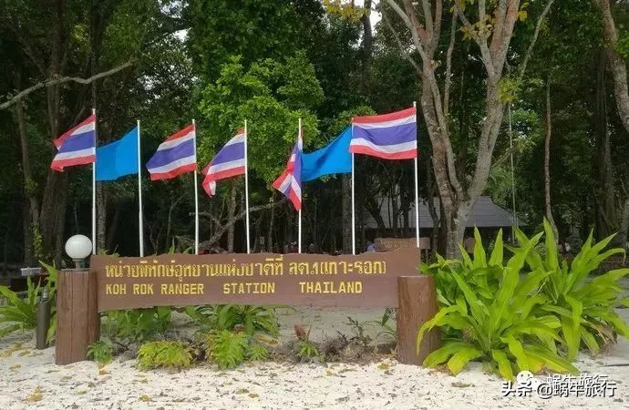 巨蜥像退休大爷休闲漫步；满海的活珊瑚、海葵…国家公园开岛啦