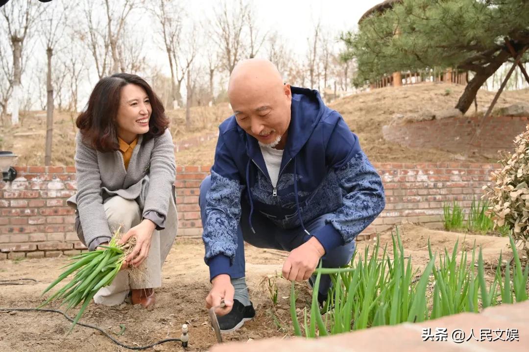 陈晓楠访谈启示录,陈晓楠18年的访谈