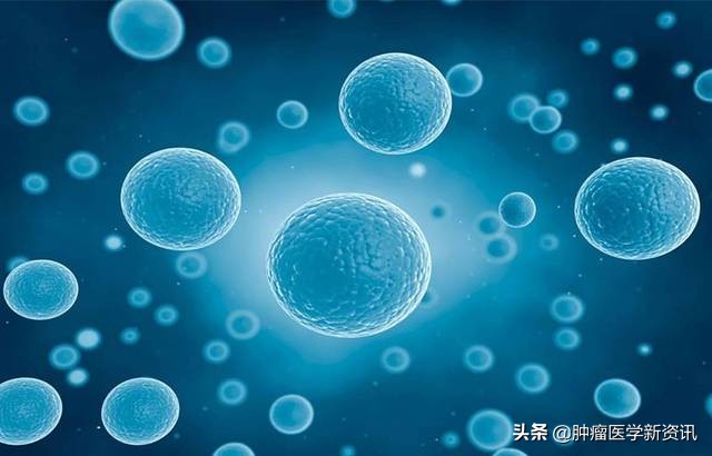 alk阳性肺癌能用免疫治疗吗,alk阳性肺癌手术后复发率