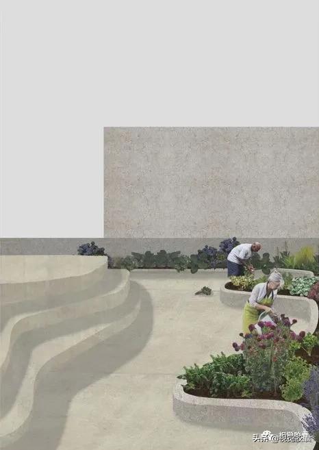 乡村蔬菜大棚的设计,蔬菜精美设计图片