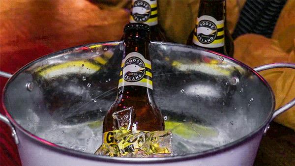 新发现!莆田这家超浪漫「花房酒吧」,藏着20+款少见精酿