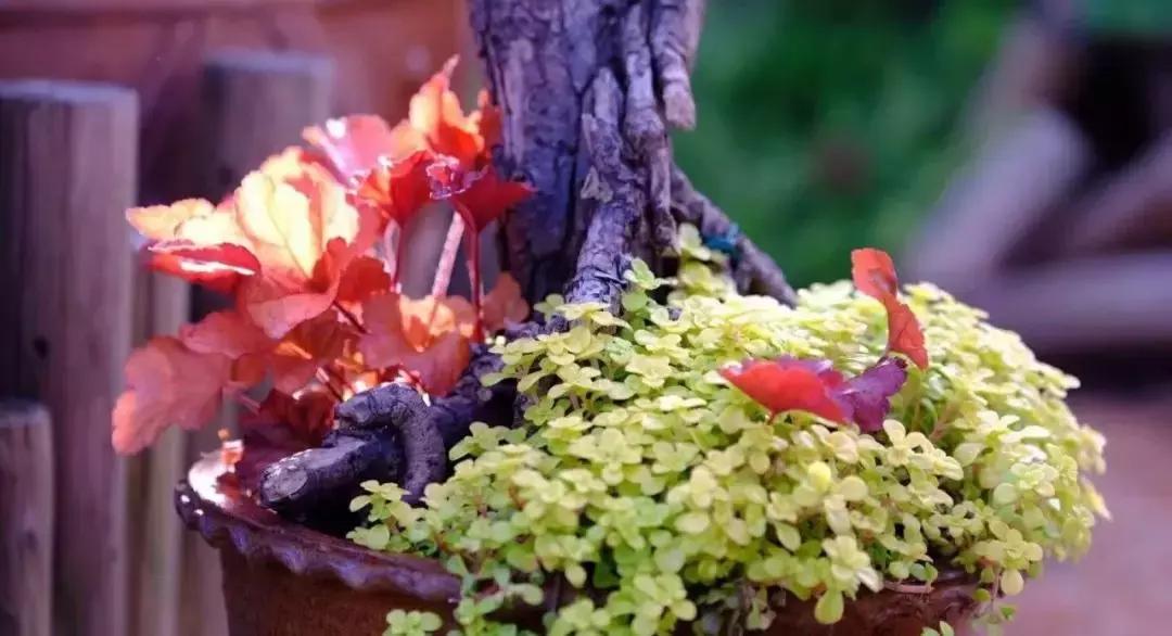 发现女儿偷看自己怎么办,发现女儿偷看电视