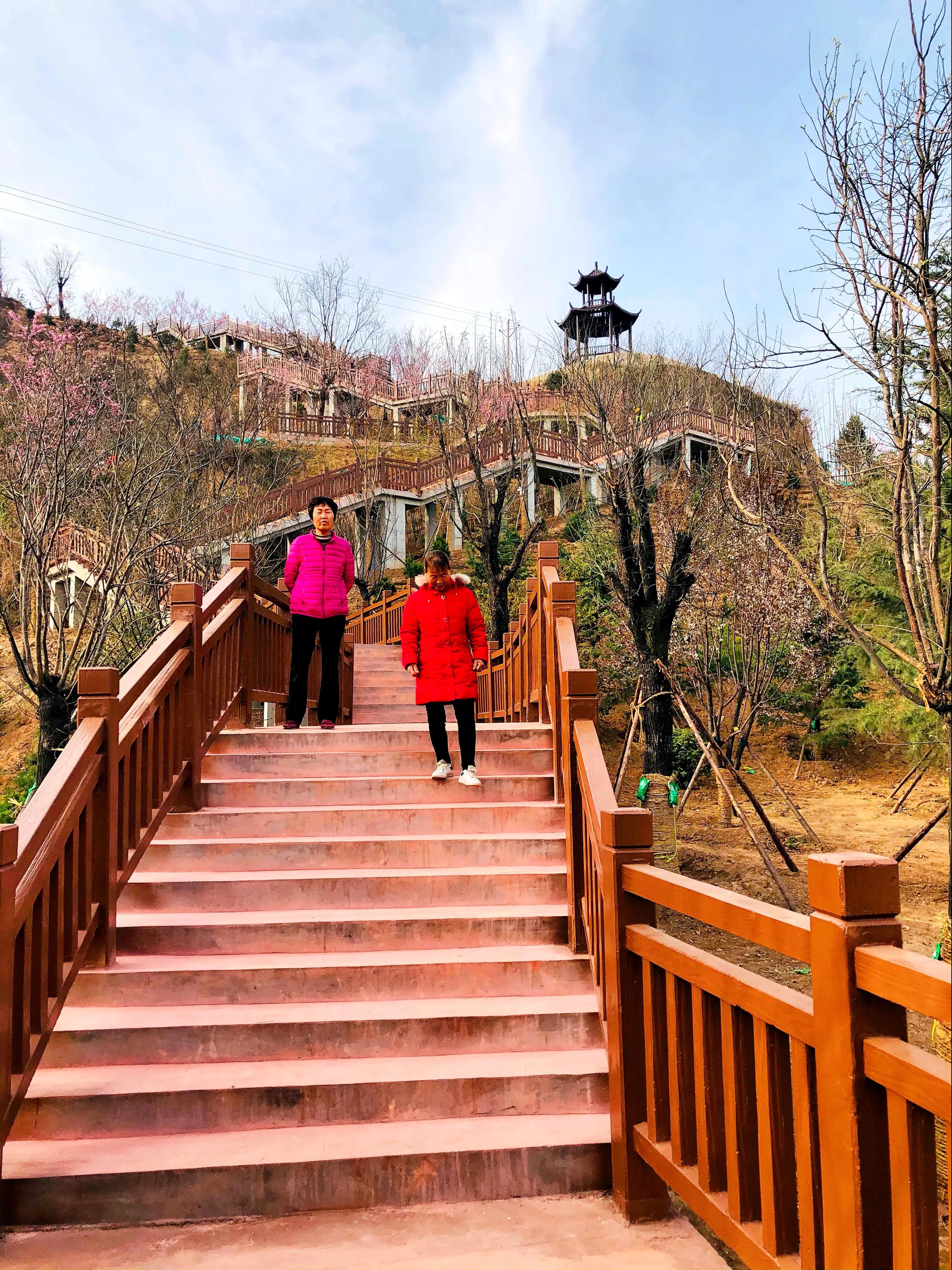 金塘半日游,白鹿原一日游攻略