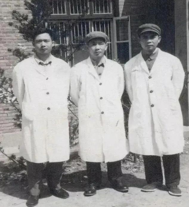 卖汤圆一年收入多少,卖汤圆挣钱