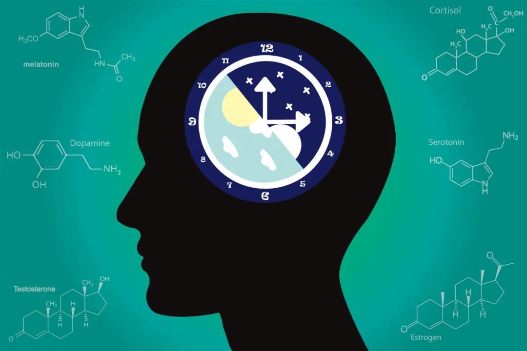 盗墓贼大多短命，真的是报应吗？