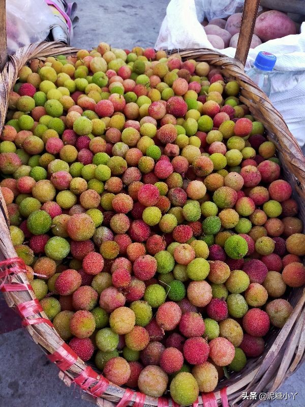 那些年我们一起摘过的野果子，现在少见了，你还记得几种