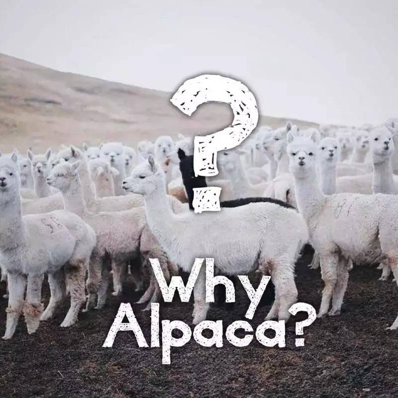 100010000区别,5000大衣和1000大衣区别