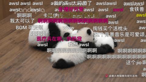 b站的英文怎么说,b站热词