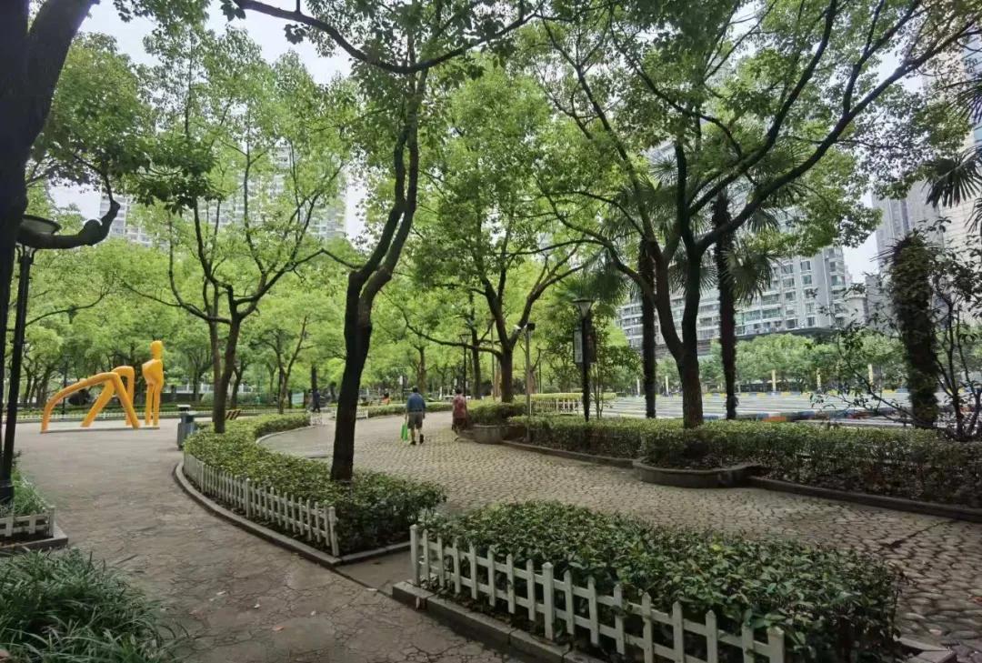 普陀区发展较好的地方,普陀区域分布