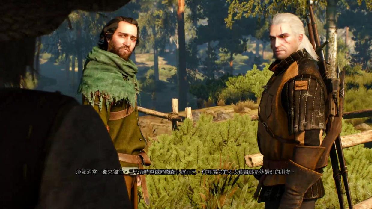 steam巫师3狂猎史低价格,steam上的巫师3标准版