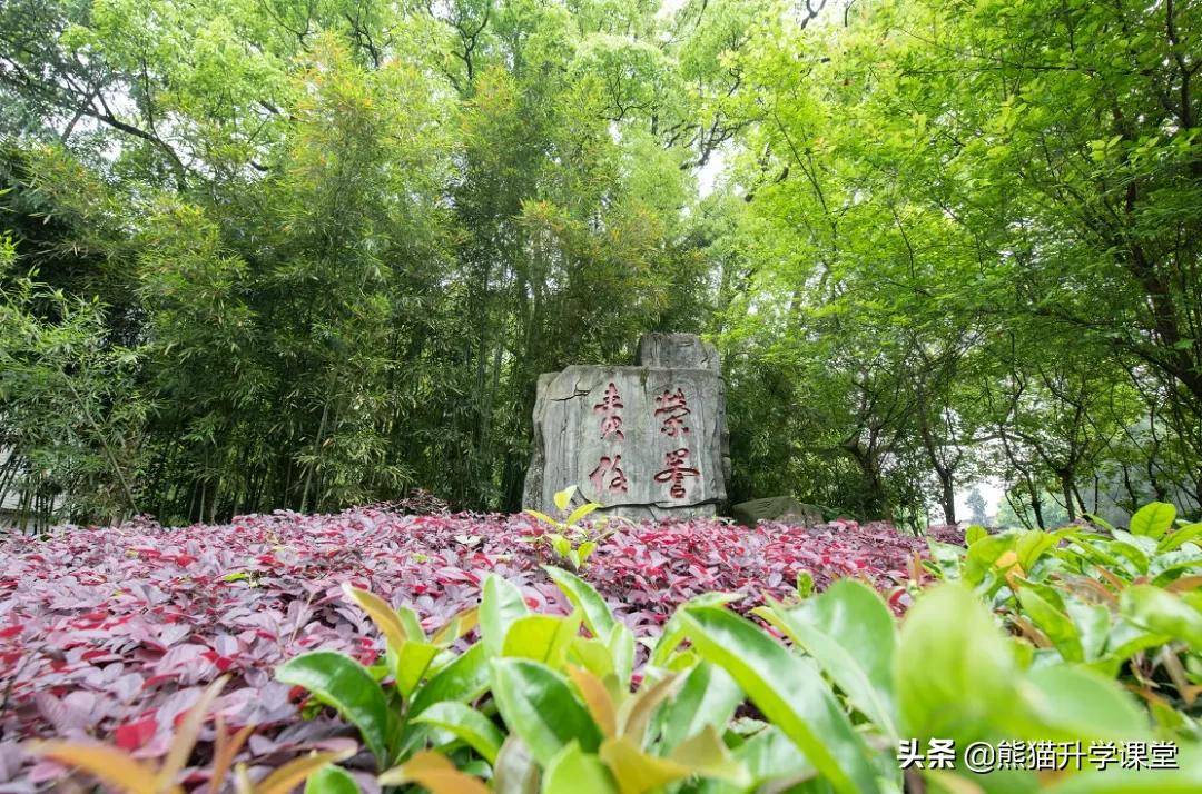 2019重庆二外教师招聘,重庆新东方外国语学校招聘