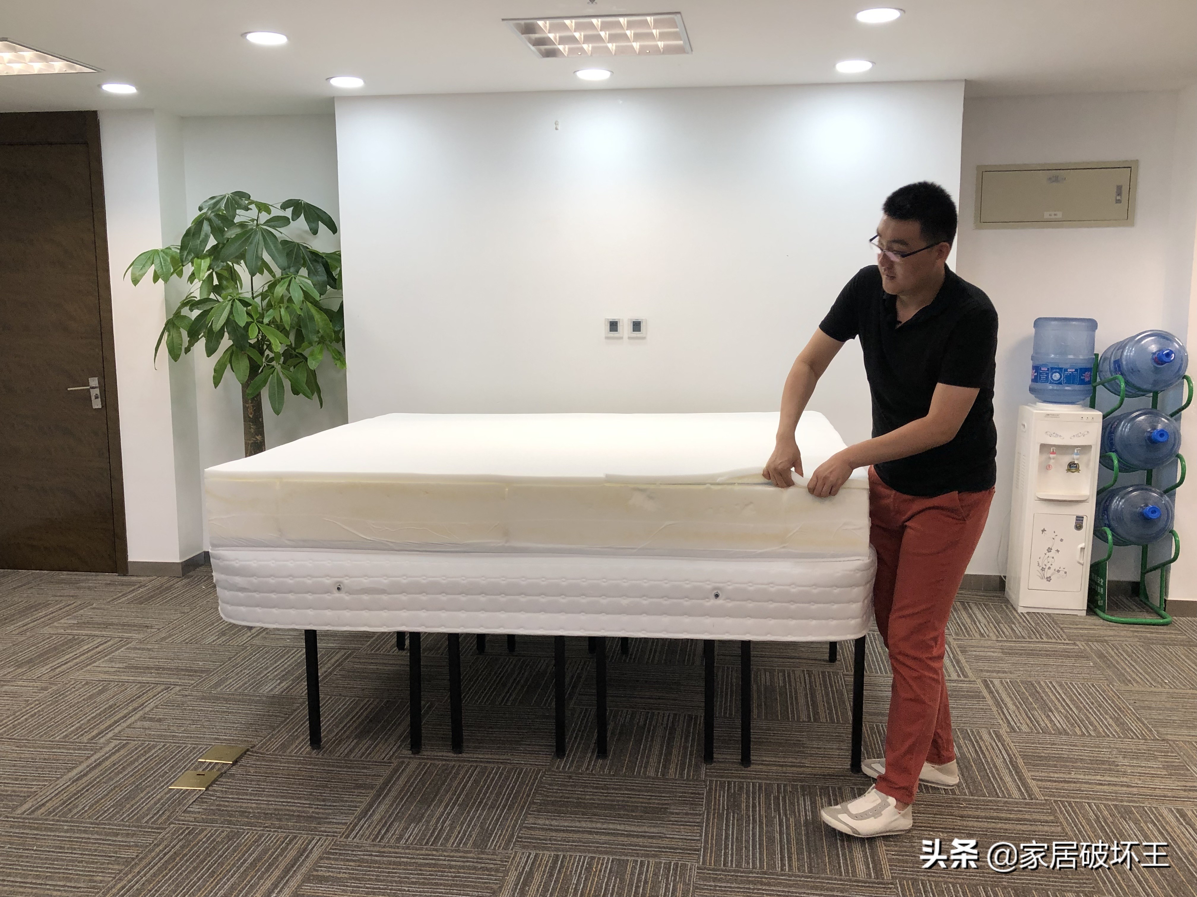 金可儿繁星c多少钱,金可儿繁星价格