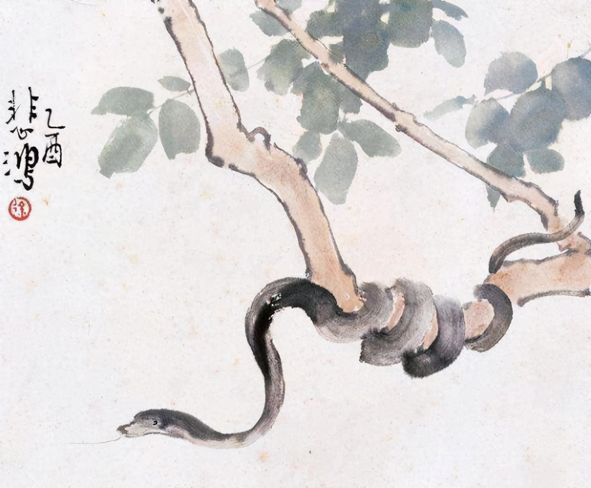 蛇那么可怕，为什么老人却说“家蛇不能打”？