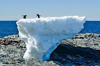 中国粮食不够吗为什么要转基因,中国粮食不够吗