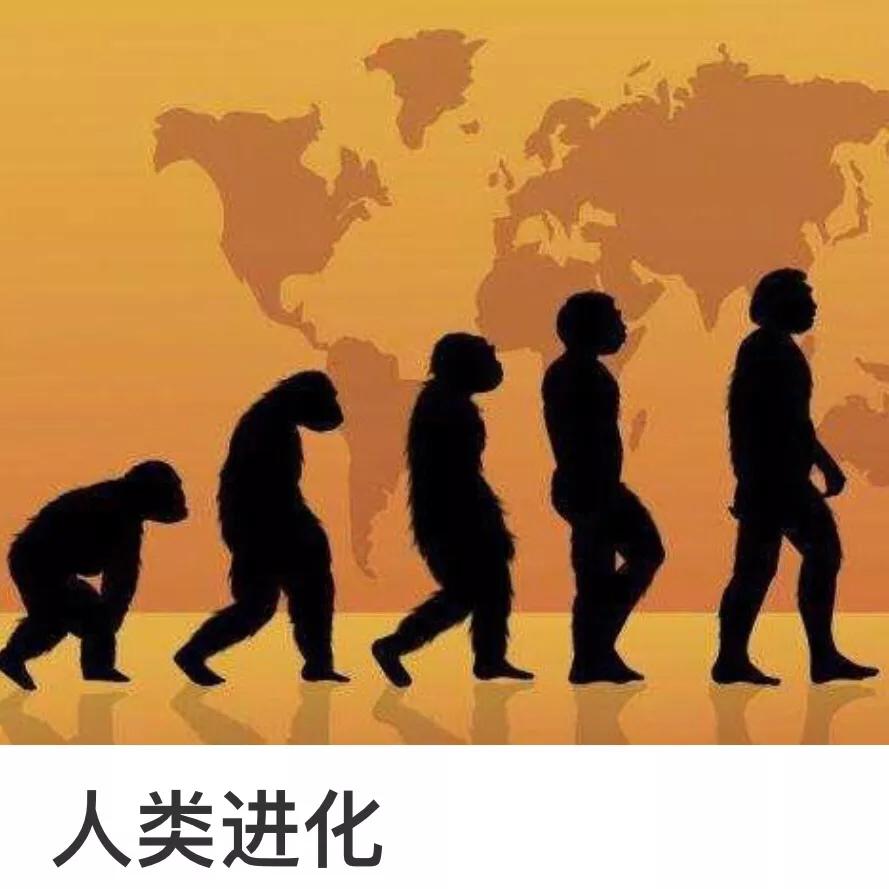 否定是怎么形成的 (引起否定的根本原因是什么)