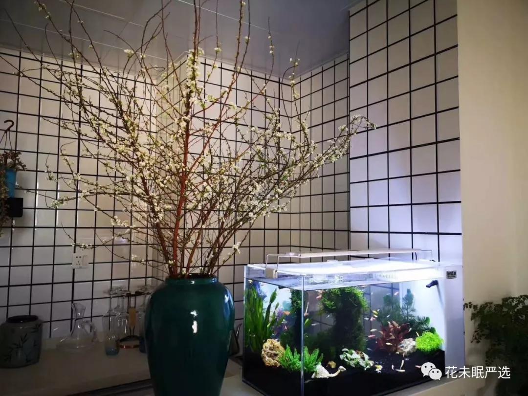 疫情过后我们整装待发,疫情过后我们绝不后退