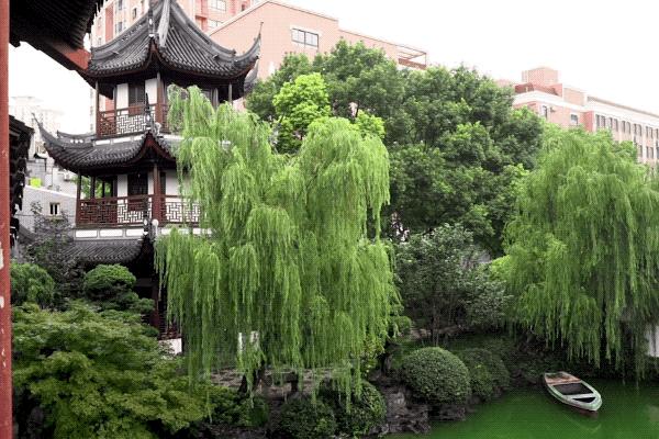 孔乙己酒馆特色菜,绍兴孔乙己菜品图片