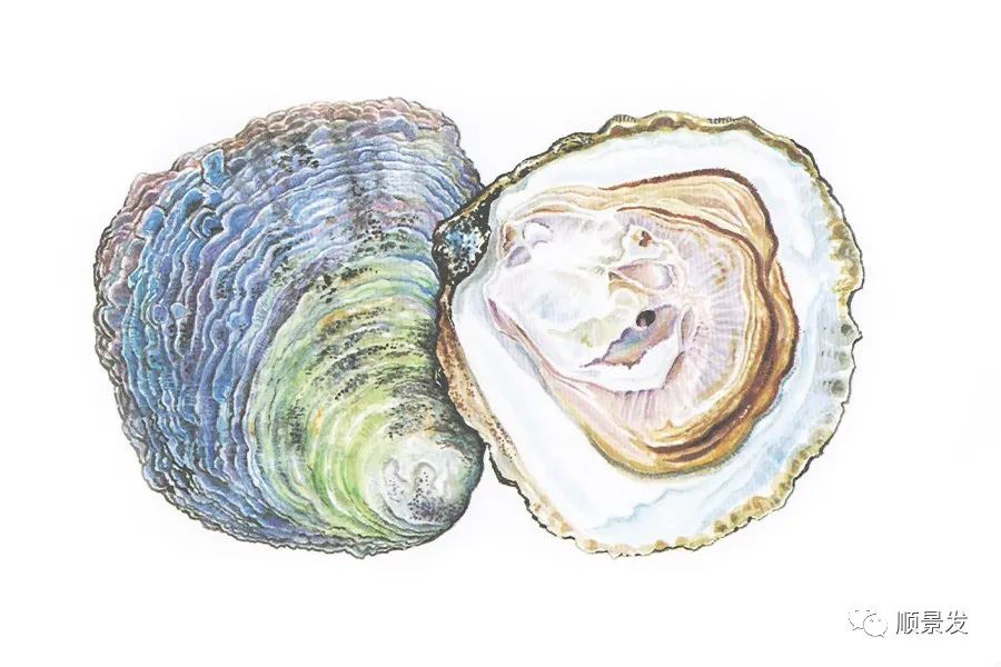 挪威和中国签订协议,挪威希望与中国加强合作