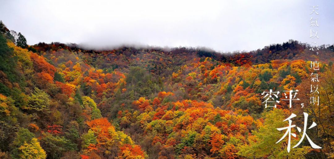 绉嬪ぉ鏉ヤ簡鎴戝湪绛変綘鏈楄,绉嬪ぉ鏉ヤ簡鎴戝湪鍐ぉ绛変綘