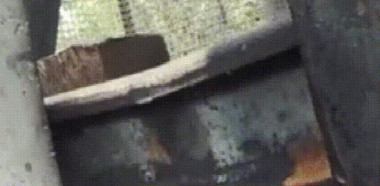 晕车的人坐高铁会不会晕,你坐高铁有什么感觉