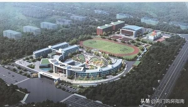 东宝最新消息,东宝区最新消息