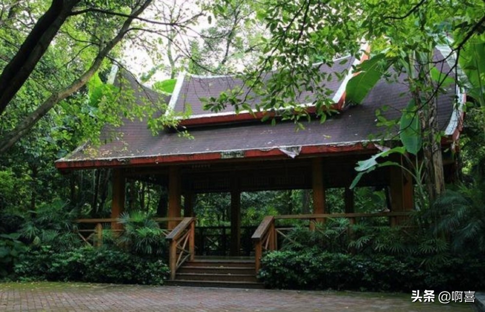 桂林风景区一日游景点大全,桂林国家森林公园游玩攻略路线