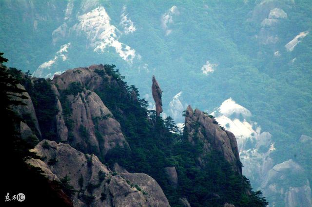 神秘的猫的小说,《神秘的猫》书