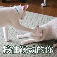 小众国货宝藏,小众宝藏彩妆排行榜最新款