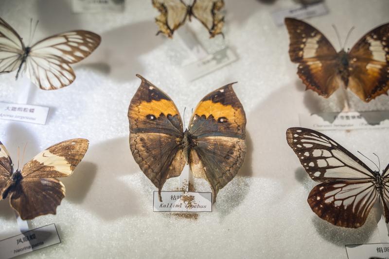 厦门冬春攻略,夏天厦门旅游攻略美食篇