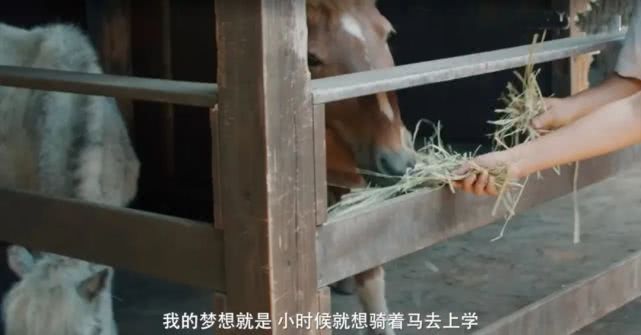 好的童年经历的影响,好的童年是一生的底气