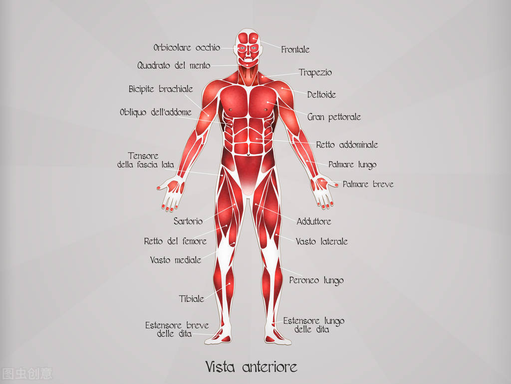 这样让小学生轻松记下颜色,10个单词,动物,学习用品,人体等单词
