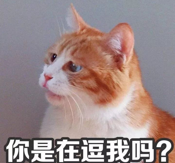 学历提升高起本,如何提升学历拿证最快呢