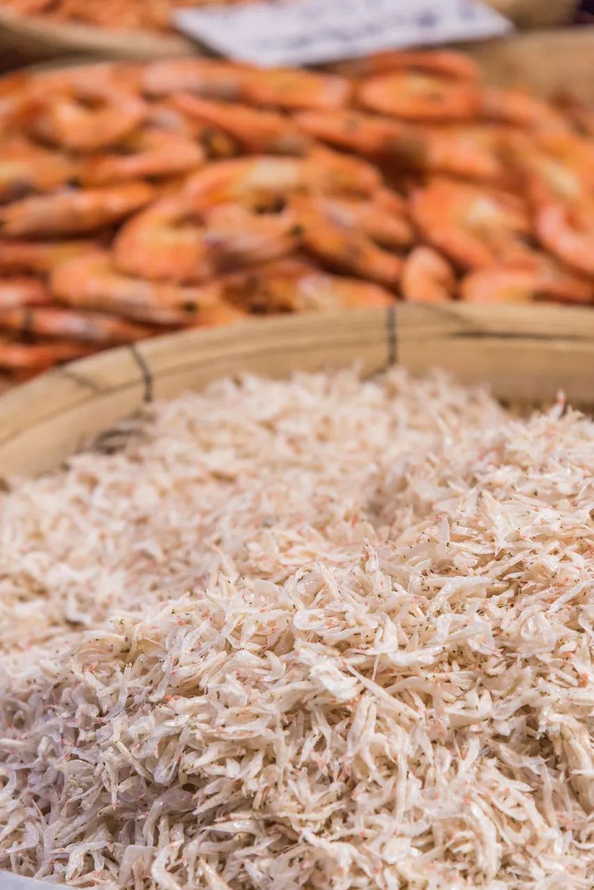 旅游三亚和厦门哪个更值得去,三亚和厦门哪一个更值得去旅游