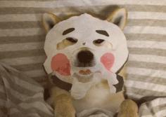 烂脸警告千万不要再这么敷面膜了,敷面膜烂脸