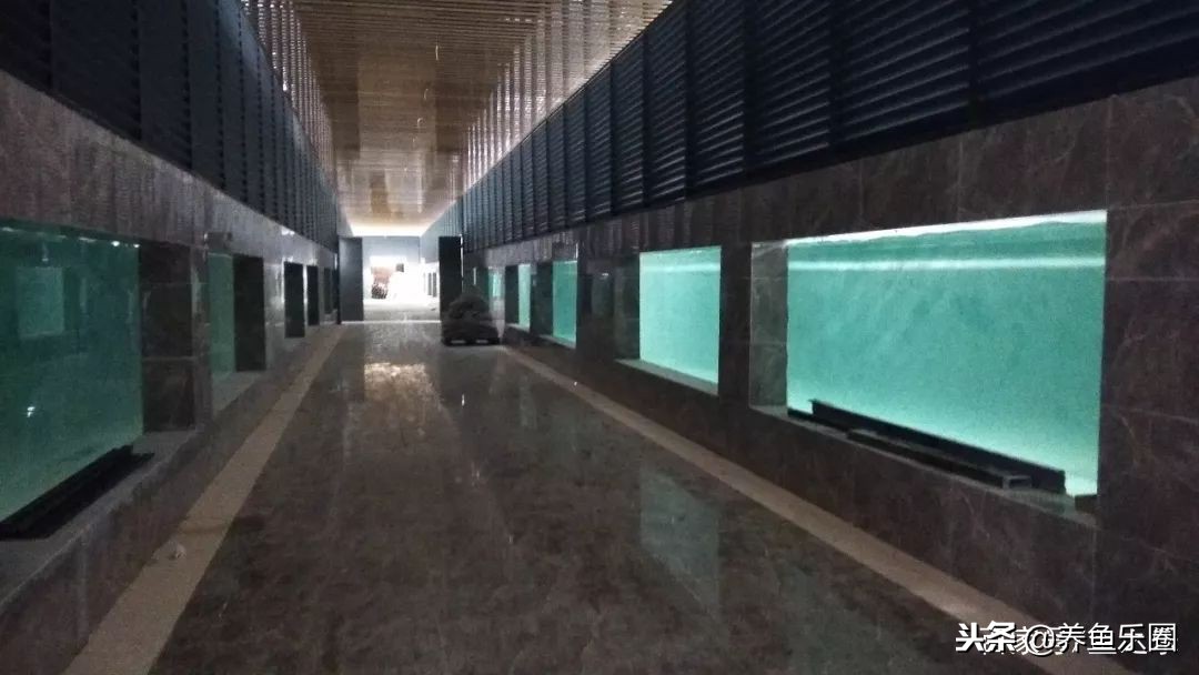 这位土豪家的渔场，光滤材就花了500多万，你确定不要见识一下？