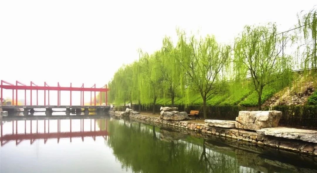 青岛黄海学院官网招生章程,青岛黄海学院2023招生简章章程